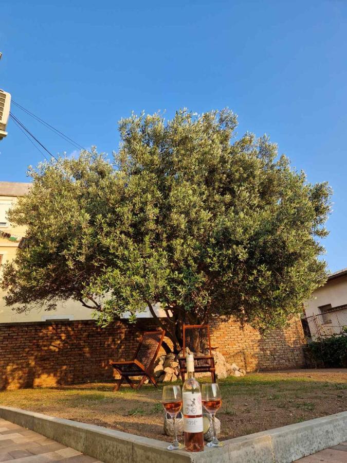 Apartmani Studio Apartmani Senjska Maslina Senj  Εξωτερικό φωτογραφία