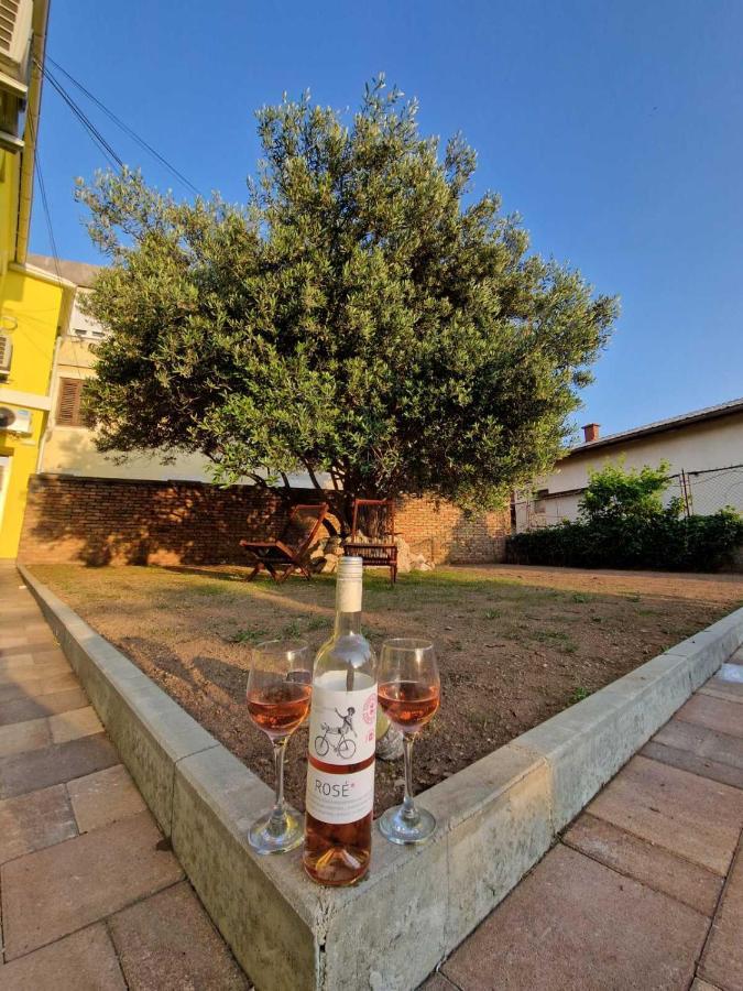 Apartmani Studio Apartmani Senjska Maslina Senj  Εξωτερικό φωτογραφία