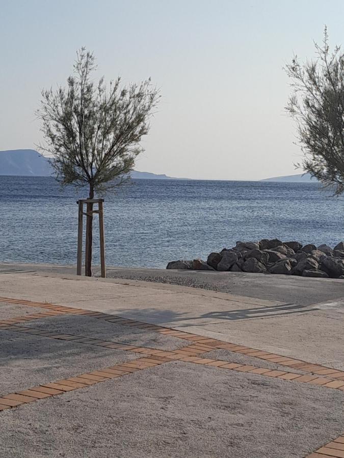 Apartmani Studio Apartmani Senjska Maslina Senj  Εξωτερικό φωτογραφία