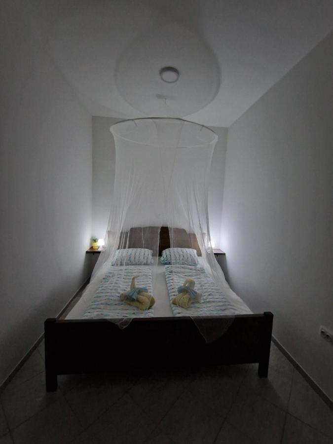 Apartmani Studio Apartmani Senjska Maslina Senj  Εξωτερικό φωτογραφία